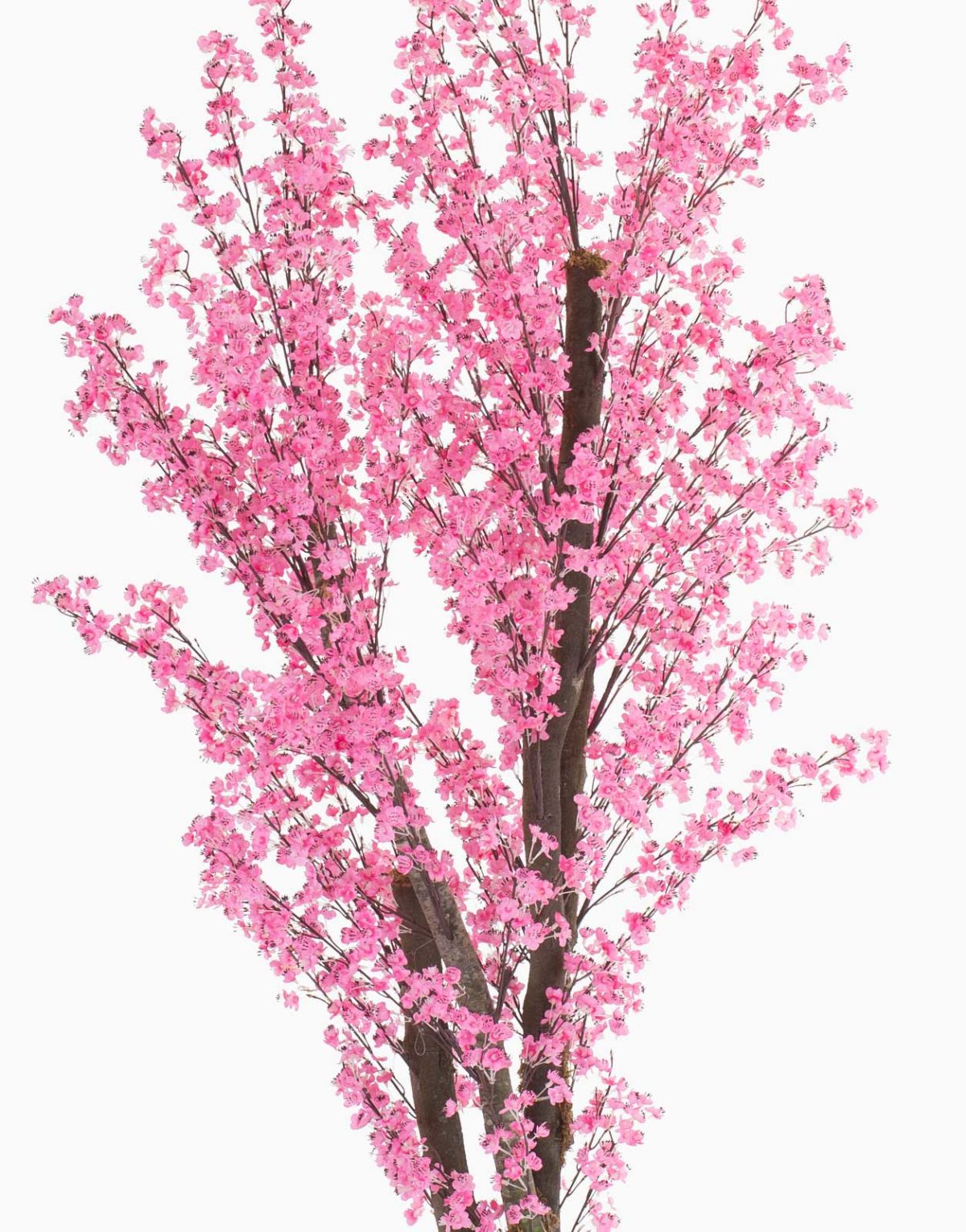 Plante artificielle et arbre artificiel au meilleur rapport qualité prix promotion des nouveautés solution design sans entretien et durables
