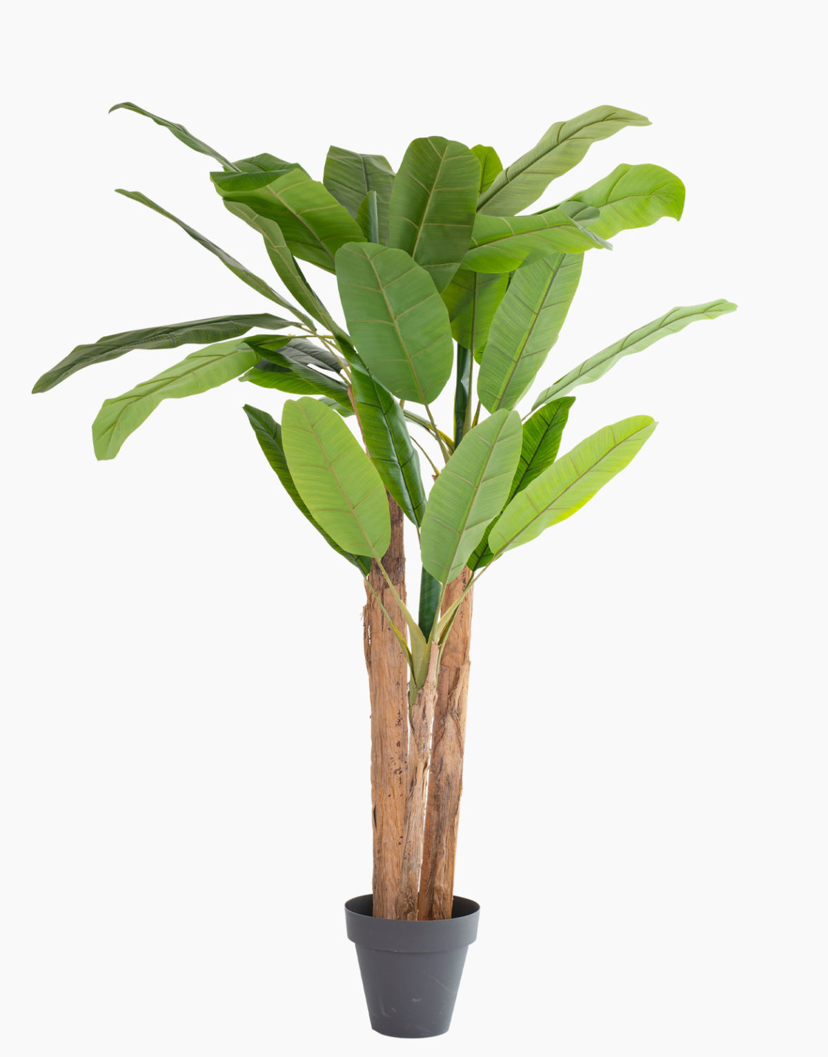Plante artificielle et arbre artificiel au meilleur rapport qualité prix promotion des nouveautés solution design sans entretien et durables