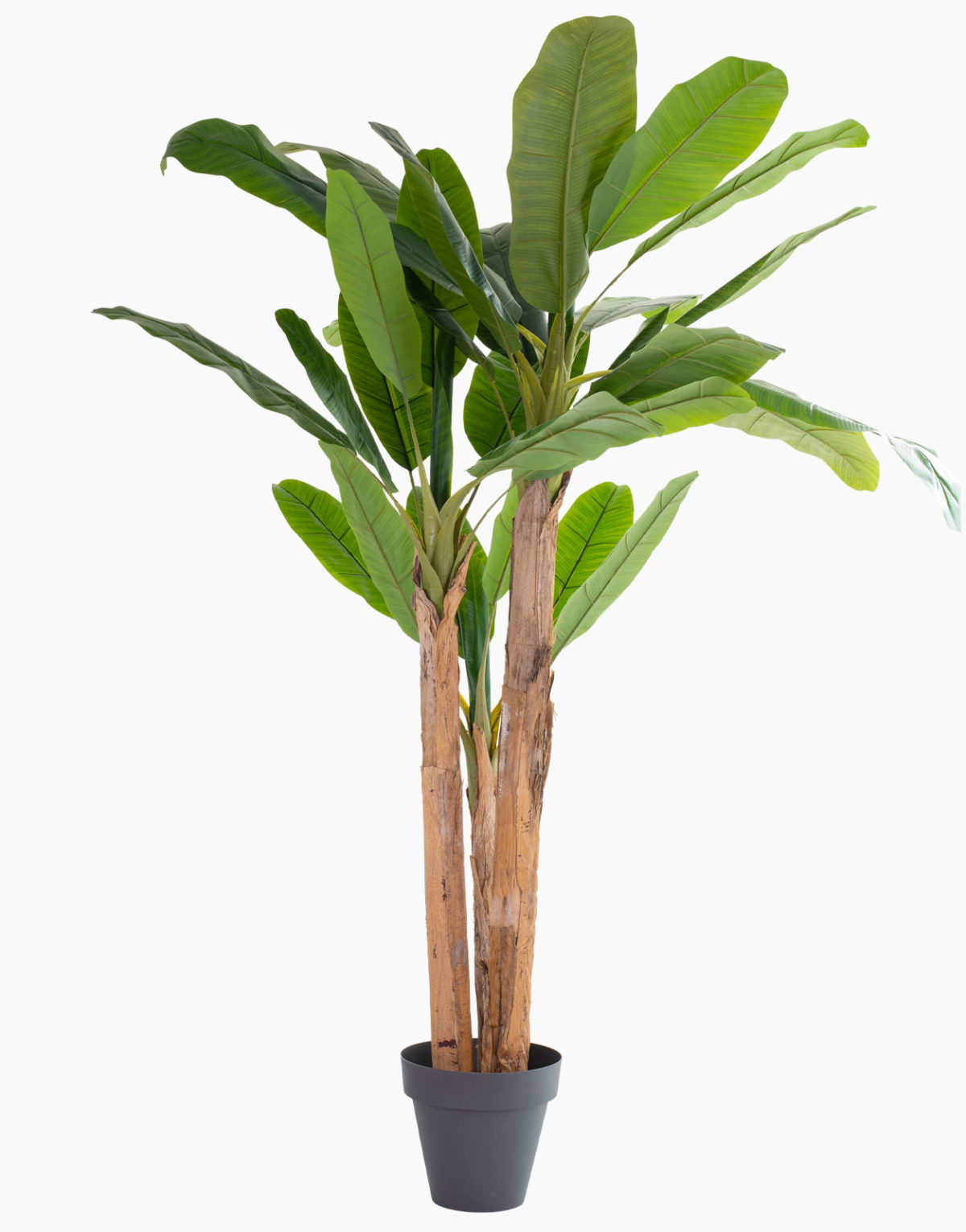 Plante artificielle et arbre artificiel au meilleur rapport qualité prix promotion des nouveautés solution design sans entretien et durables