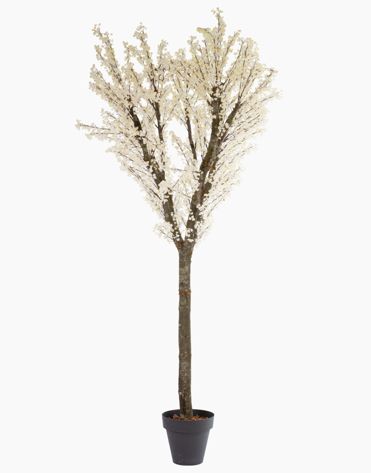 Plante artificielle et arbre artificiel au meilleur rapport qualité prix promotion des nouveautés solution design sans entretien et durables