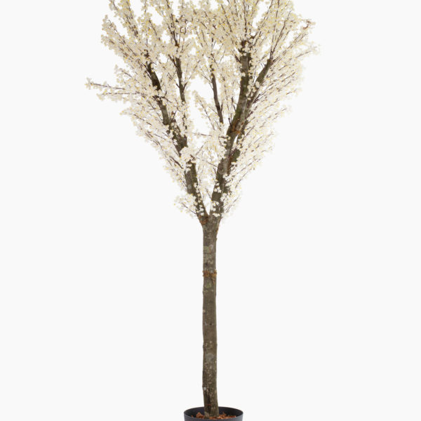 Plante artificielle et arbre artificiel au meilleur rapport qualité prix promotion des nouveautés solution design sans entretien et durables