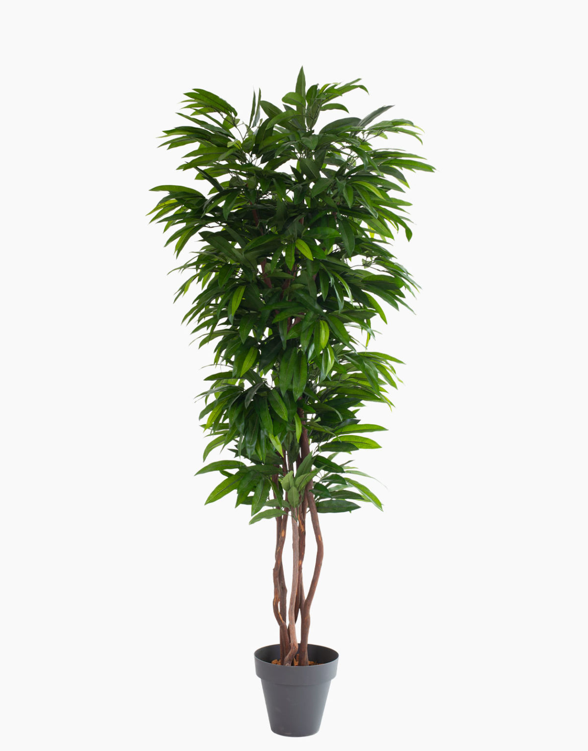 Plante artificielle et arbre artificiel au meilleur rapport qualité prix promotion des nouveautés solution design sans entretien et durables