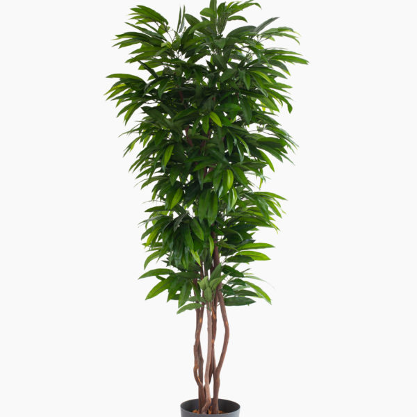 Plante artificielle et arbre artificiel au meilleur rapport qualité prix promotion des nouveautés solution design sans entretien et durables