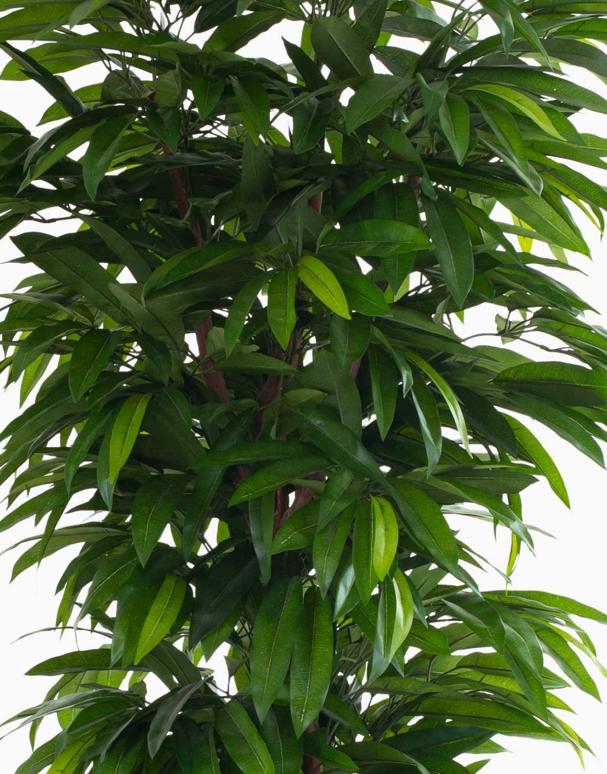 Plante artificielle et arbre artificiel au meilleur rapport qualité prix promotion des nouveautés solution design sans entretien et durables