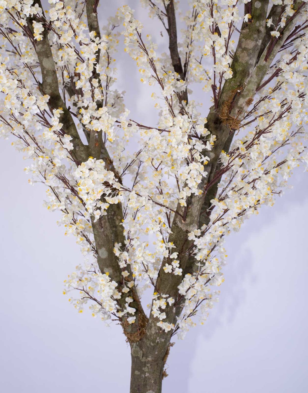 Plante artificielle et arbre artificiel au meilleur rapport qualité prix promotion des nouveautés solution design sans entretien et durables