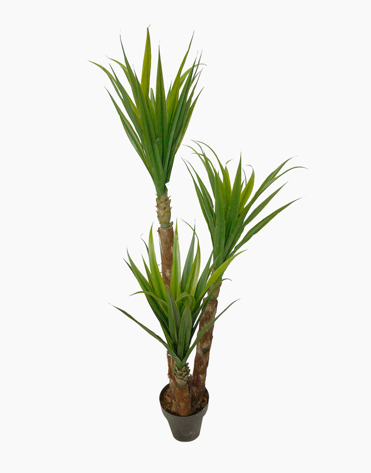 Plante artificielle Yucca tropical - hauteur 180 cm