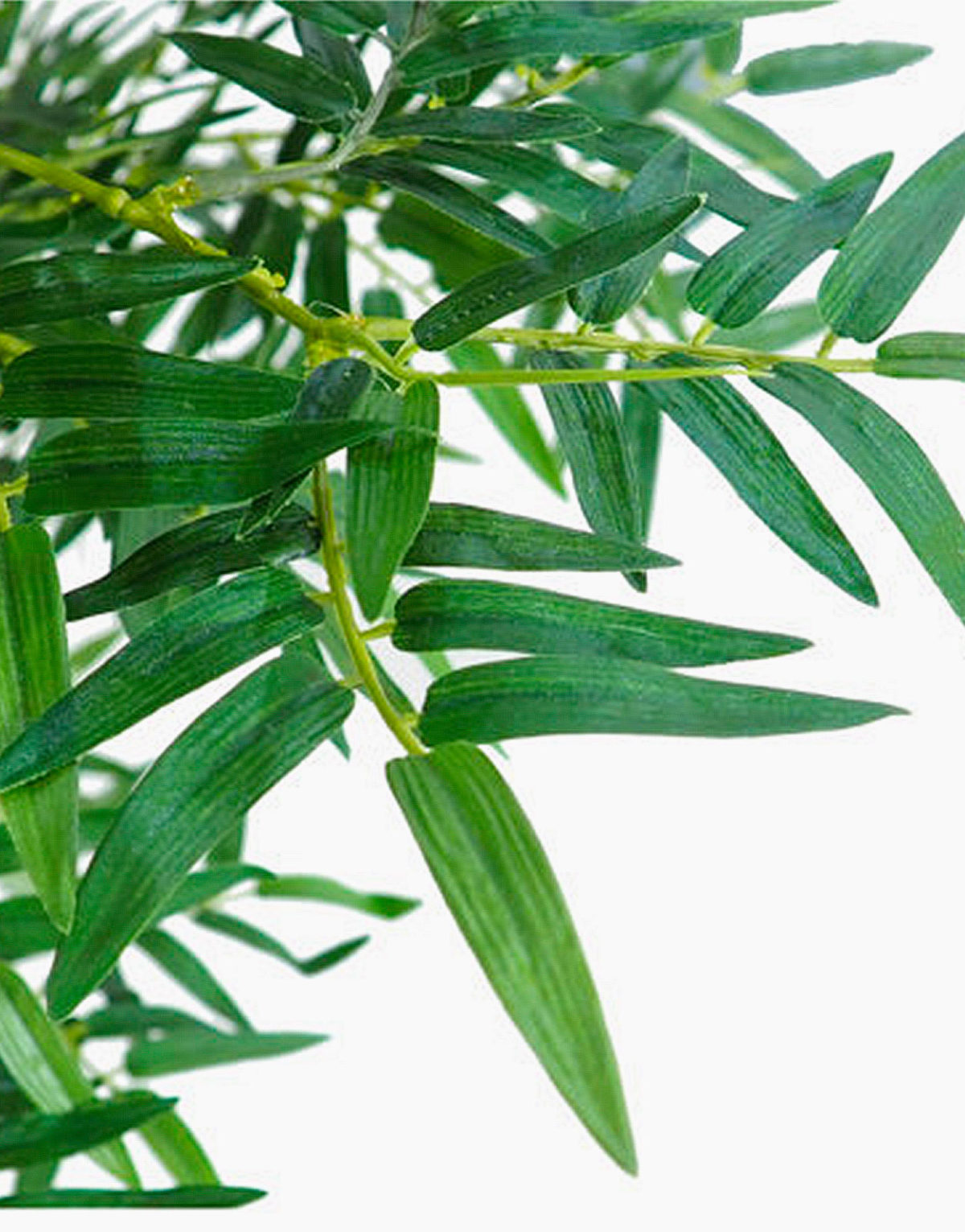 Bambou artificiel tige canne bâton de bambou naturel feuilles en polyester et polypropylène Solution design vente de plante artificielle