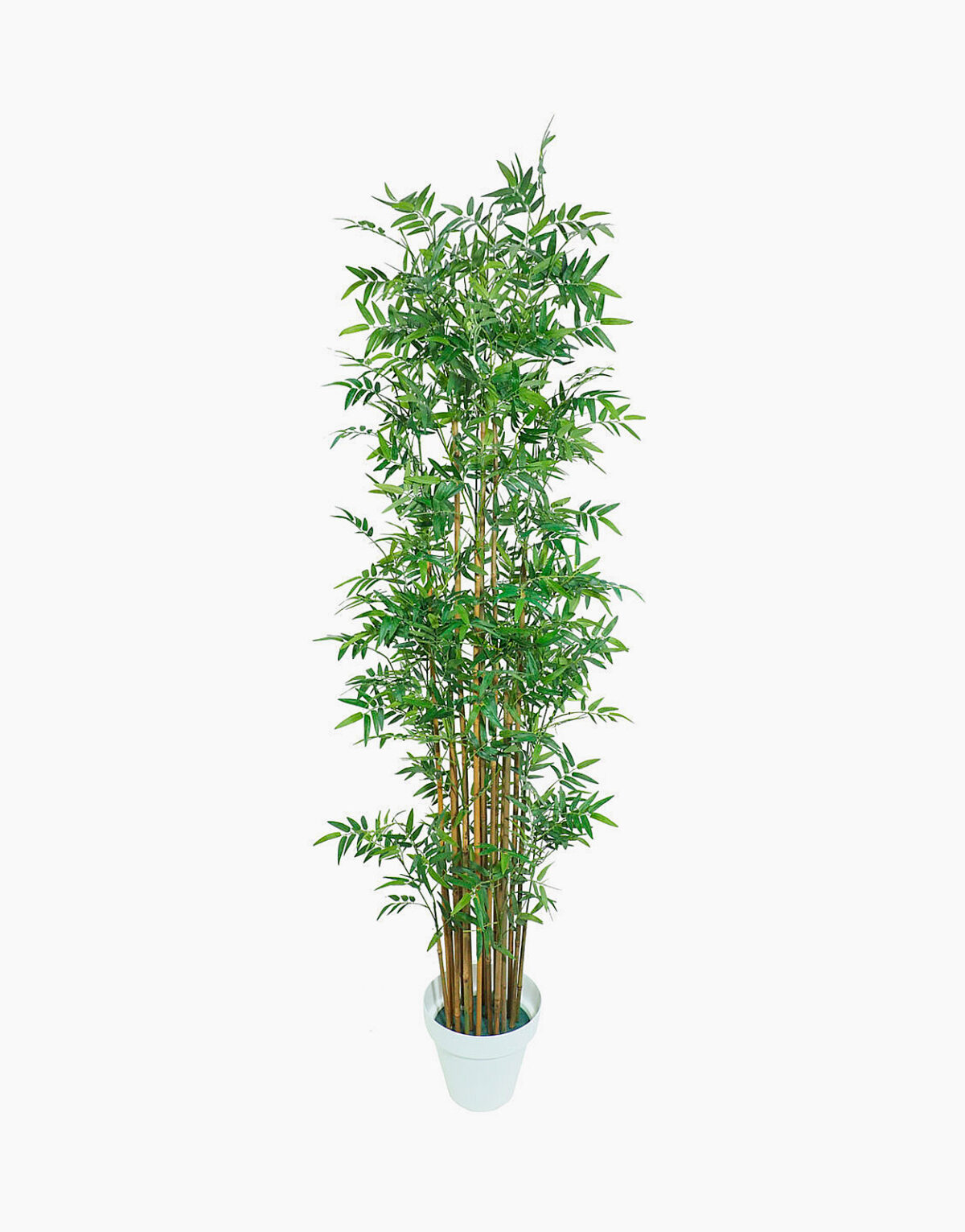 Bambou artificiel tige canne bâton de bambou naturel feuilles en polyester et polypropylène Solution design vente de plante artificielle