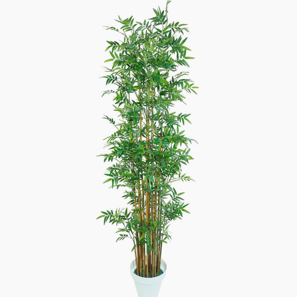 Bambou artificiel tige canne bâton de bambou naturel feuilles en polyester et polypropylène Solution design vente de plante artificielle